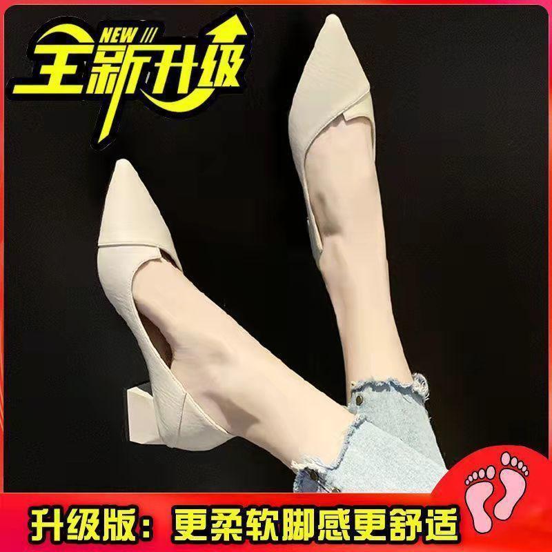 Retro Pointed Thick Heel High Heels Summer Niche Solid Color Non-slip Single Shoes Outer Wear Heightening Shoes