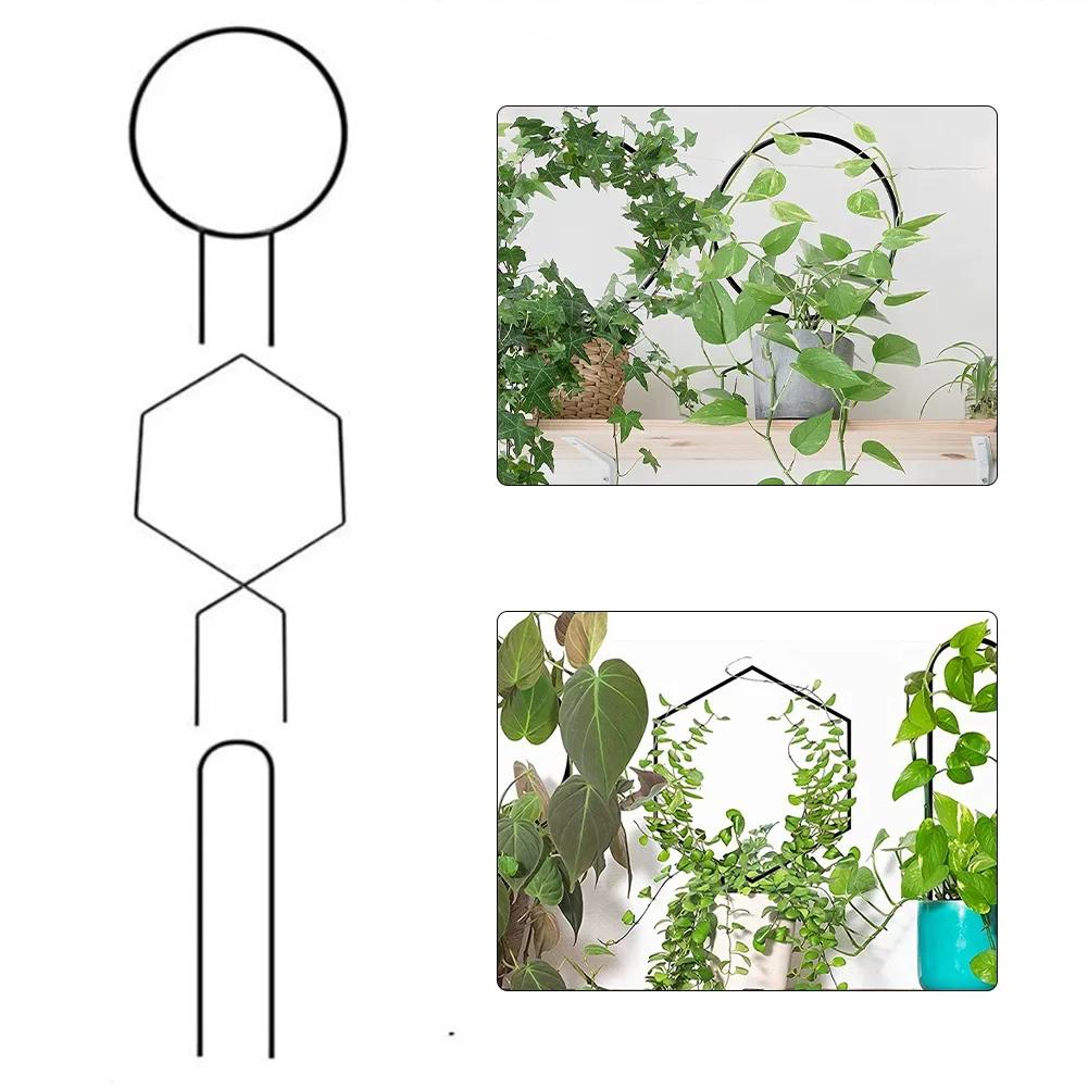 3PC Wrought Iron Climbing Frame for Outdoor Vertical Garden Support with Adjustable Brackets for Climbing Plants