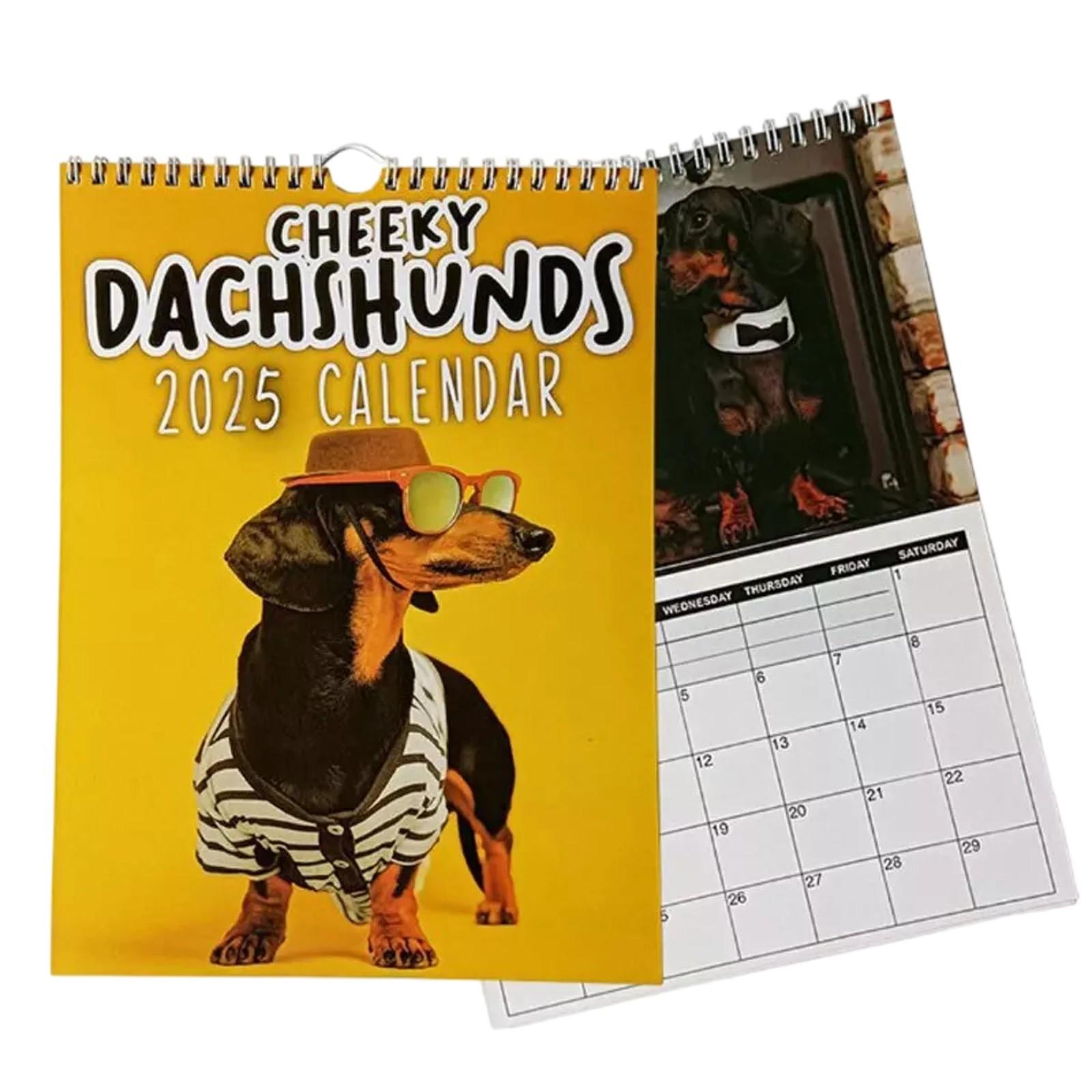 

2025 Cheeky Dachshunds Wall Calendar Spiral Bound Monthly Planner with Humorous Dog Illustrations and Large Date Blocks for Home Office Use