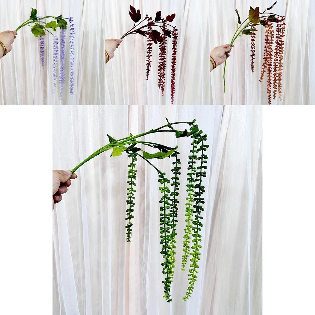 Simulated Wall Mount Senecio Rowleyanus For Bridal Decor And Photography Props