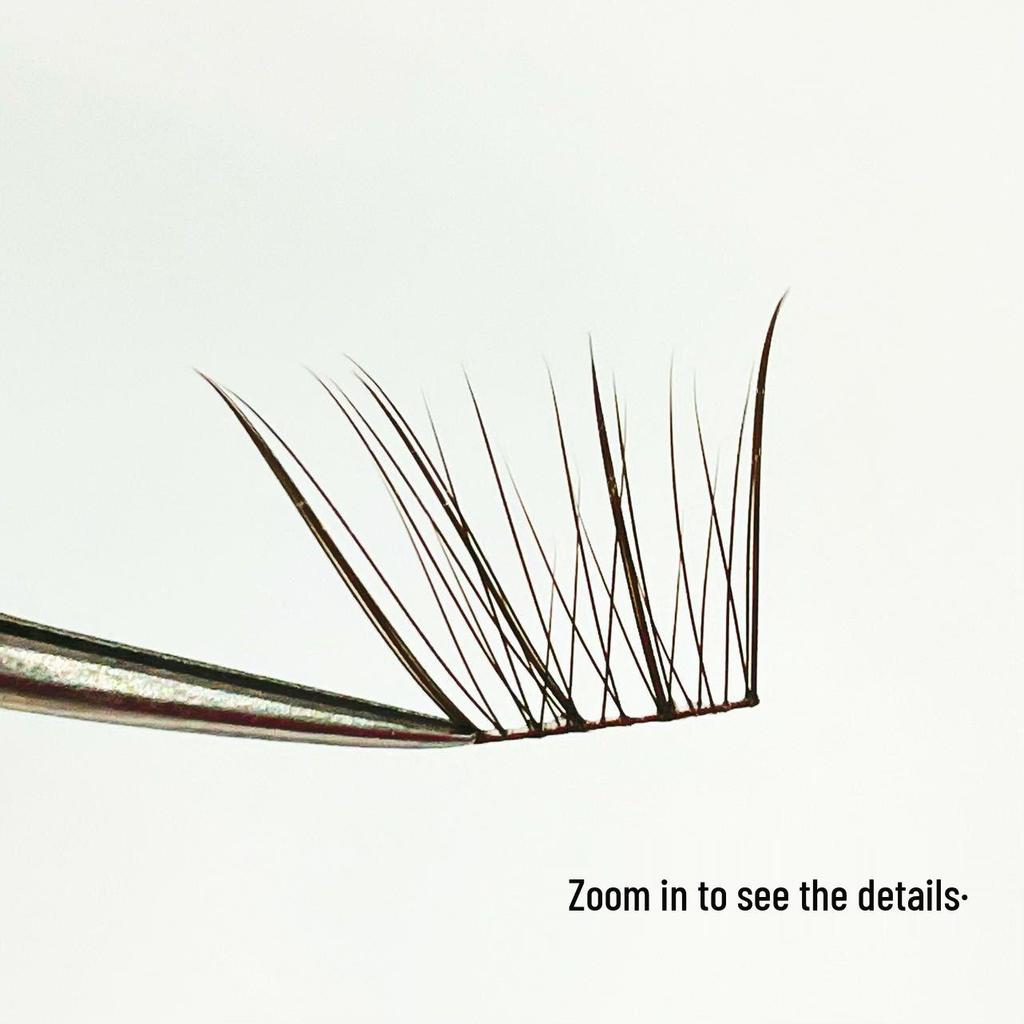 Kou Kou Sweet Coffee Brown & White False Eyelashes - Natural Black Brown, Clear Fan-shaped Enhancements