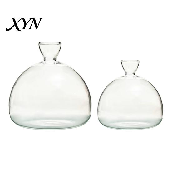 Pflanzenhalter aus Glas Hydroponik-Pflanzen Vase, Transparentes Vermehrungsterrarium, Schreibtisch Dekorative Klare Topf Pflanzgefäß für Zuhause Büro Tischmittelstück