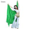 Women Show Costumes Dancer Skirt Belly Dance Veil Wrap Belt Hip Scarf Dancer Shawl