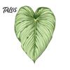 Botanical Fridge Magnets 3D Tropical Plants Refrigerator Magnet, Acrylic Green Decorative Plant Home Decor Memo Notes Photo Holder for Kitchen Office
