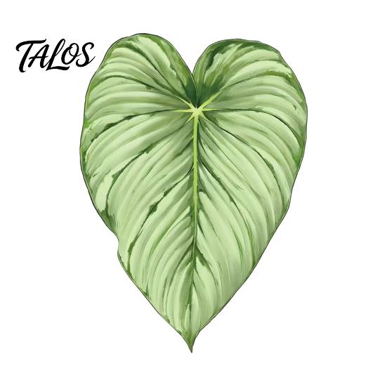 Botanical Fridge Magnets 3D Tropical Plants Refrigerator Magnet, Acrylic Green Decorative Plant Home Decor Memo Notes Photo Holder for Kitchen Office