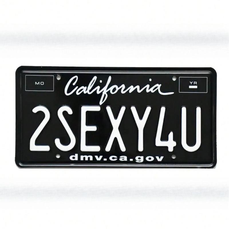 Arkansas USA Metal Wall Sign, Vintage State Decor 15x30cm