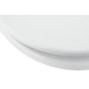 PP SWING TOILET SEAT