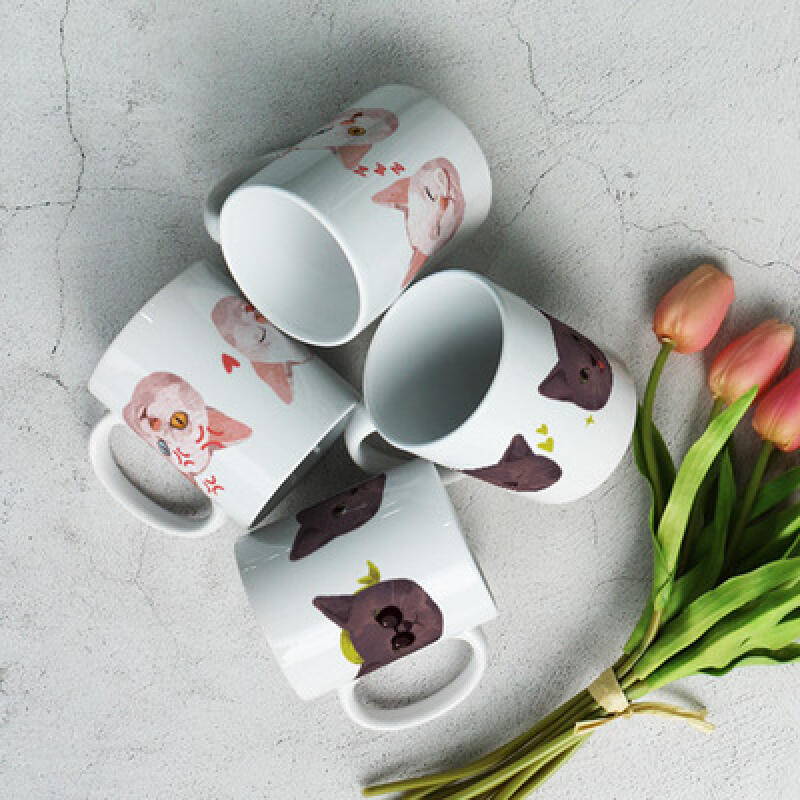 ig360-Design Mug 4p-Cat Expressions