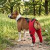 Breathable Dog Hind Leg Brace Adjustable Post Surgery Cover Leg Injury Protector  Knee Protection