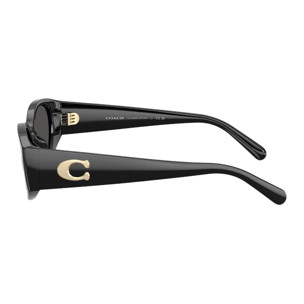 COACH Sunglasses Unisex 0HC8462U-50028754