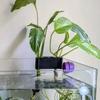 Aquarium Hydroponic Glass Pot Fish Tank Storage Rack Emerging Plant Holder Plant Cultivation Rack