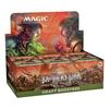 Magic: The Gathering Brothers' War Draft Booster (English Version) (Box) 36 Packs D03060000 MTG Trading Card Wizards of the Coast D03060003