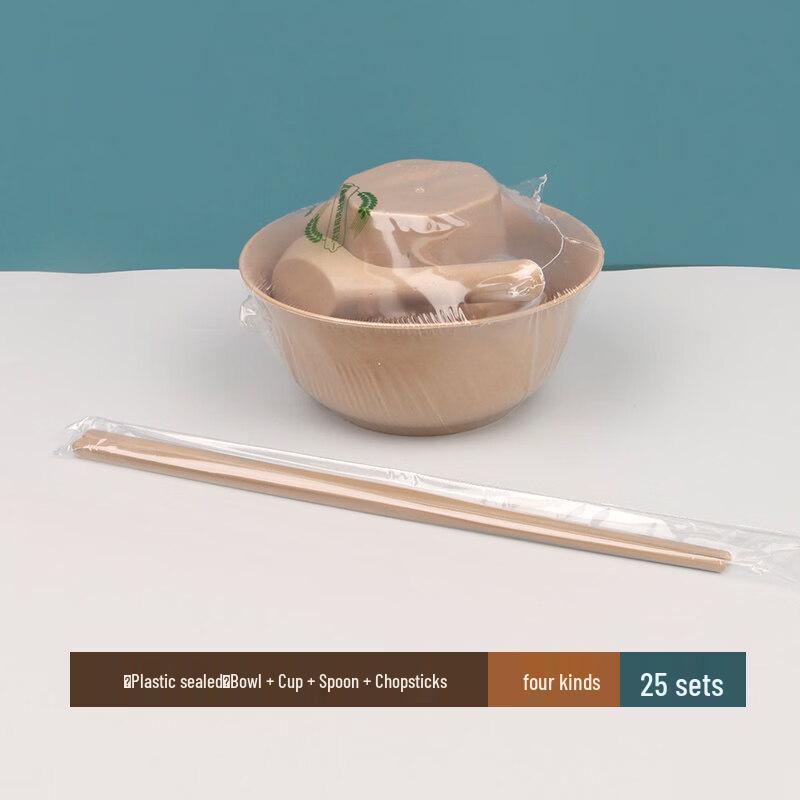 ZISIZ Disposable Plastic Dinnerware Set