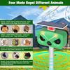 Solar Bird & Animal Repeller with High-Power Alarm