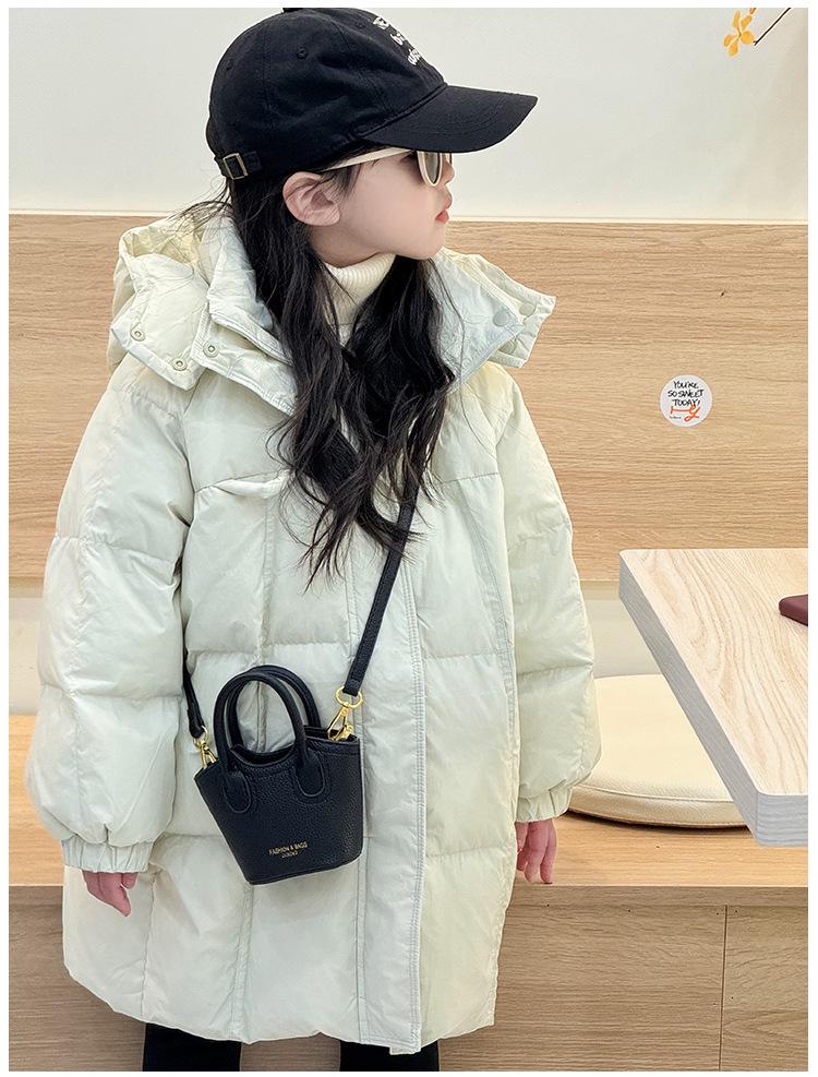 2024 Women's Mini Crossbody Bucket Bag - Niche Fashion Coin Purse Handbag