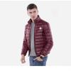Autumn and Winter Printed Leisure Mens Stand-up Collar Silk Cotton Clothes Middle-aged and Young Stylish Slim Jacket