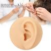 Soft Silicone Left Ear Model Ear Acupuncture Practice Model Simulation Ear Display Model