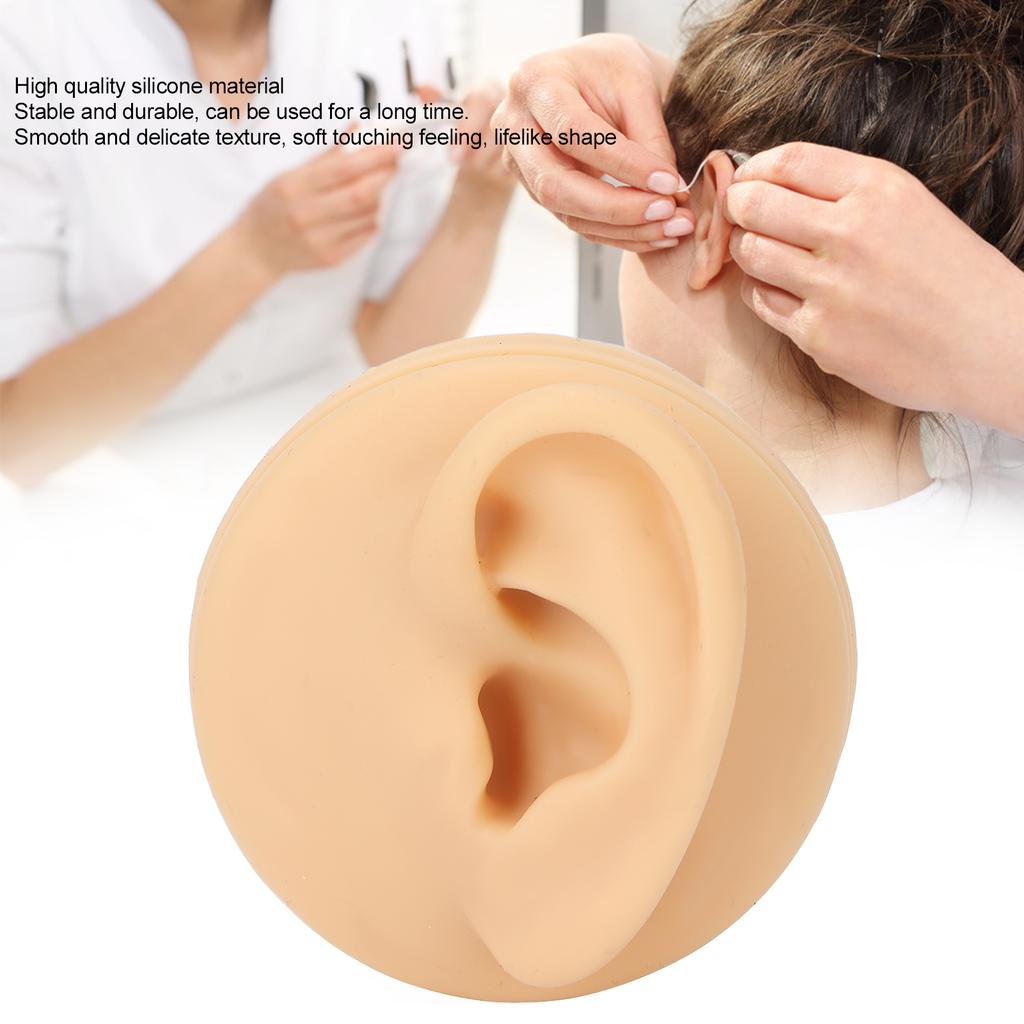 Soft Silicone Left Ear Model Ear Acupuncture Practice Model Simulation Ear Display Model