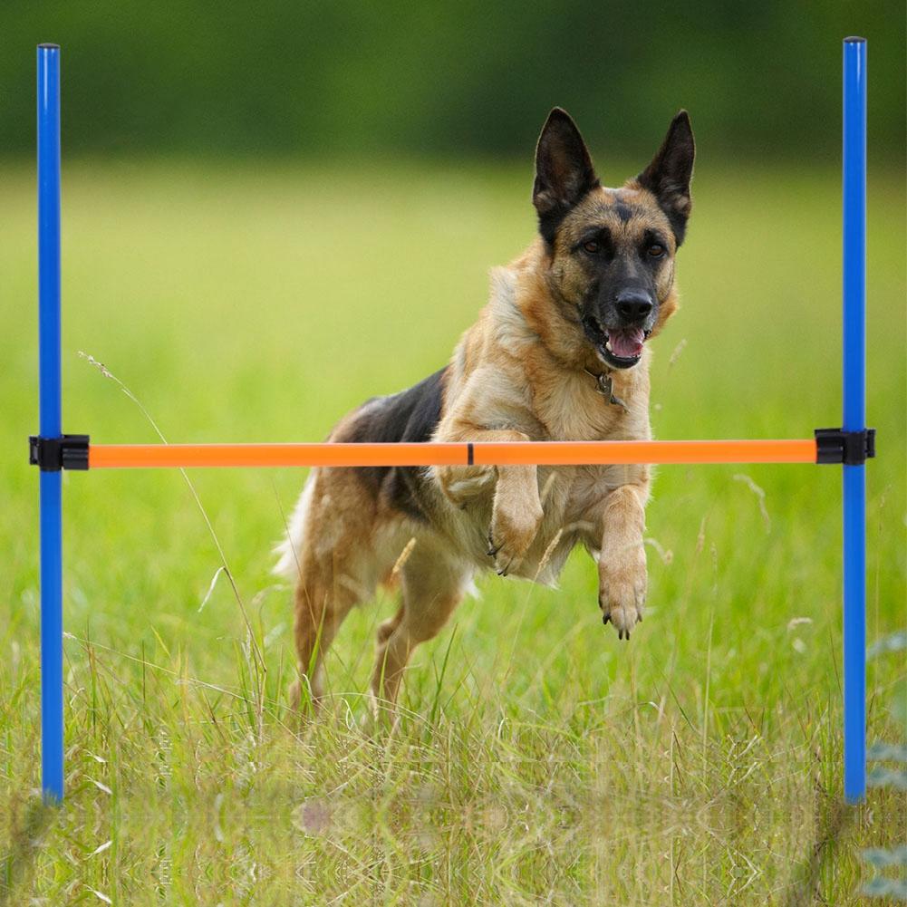 Plastic Outdoor Detachable Pet Dogs Agility Jump Hurdle Bar Games Equipment Exercise Toy