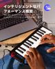 Donner MIDI Keyboard, 25 Keys, USB Controller, Mini Keyboard, Compact, Velocity Sensitive, Music Production, Japanese Instruction Manual, Black N-25