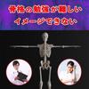 [Authentic, fully anatomical model for tabletop use] 45cm 1/4 scale compact human anatomy model. [A space-saving anatomical model with meticulous atte