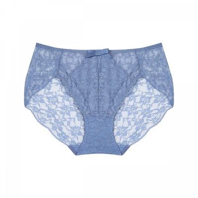 Lace Triangle Panty Abp4442