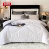 Hengyuanxiang 100% Cotton Cover Tussah Silk Quilt