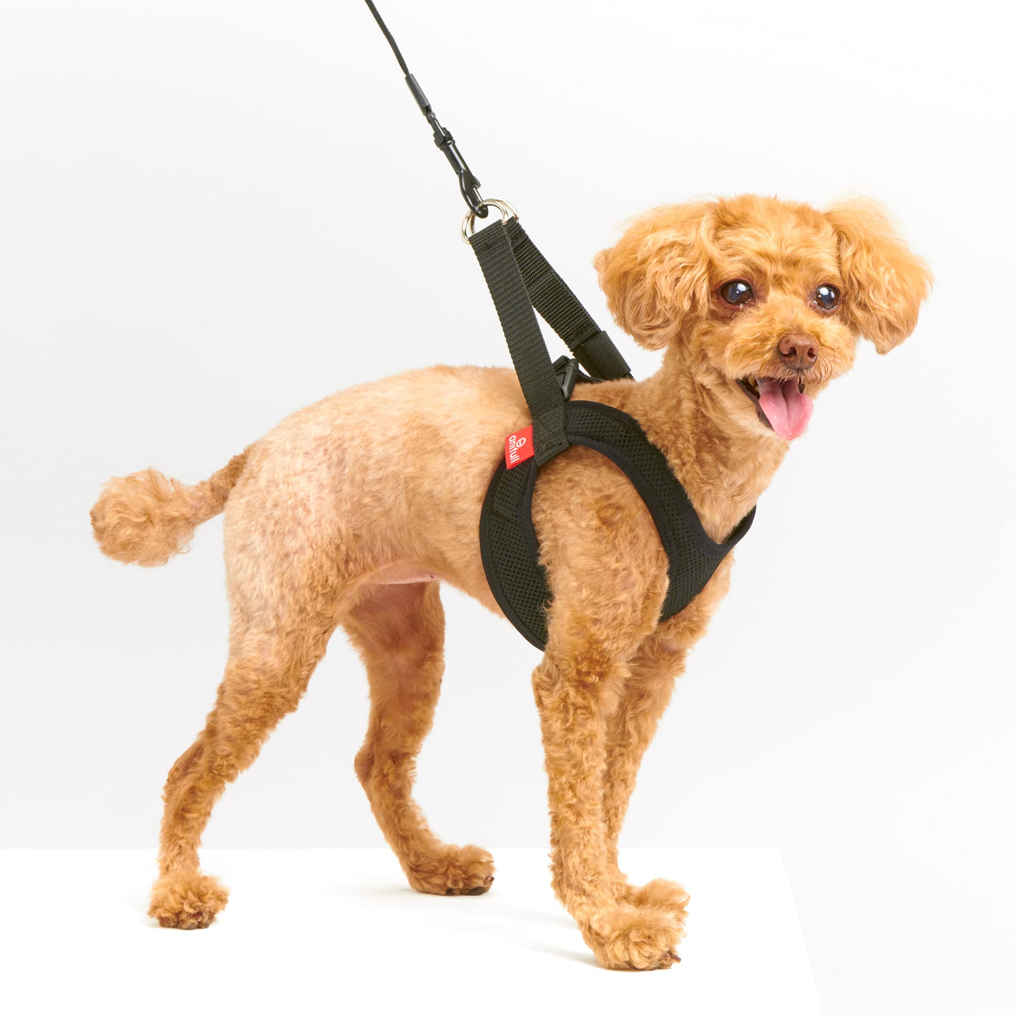 

Anifull Anisapo Harest Black XS Size Dog XS Size чёрный