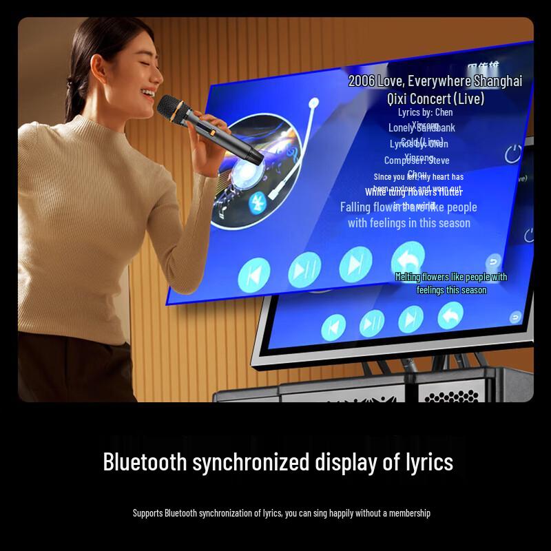 SAST All-in-One Karaoke System with 21-inch Screen CN Plug (adapter Included)