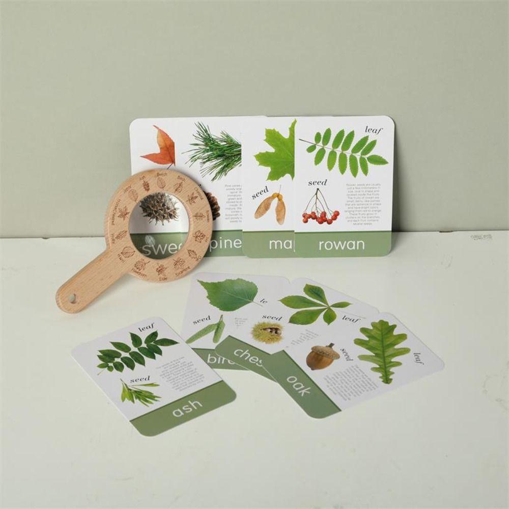 Montessori Magnifying Glass Toys Wooden Plant Cognition Cards  Kindergarten Kids