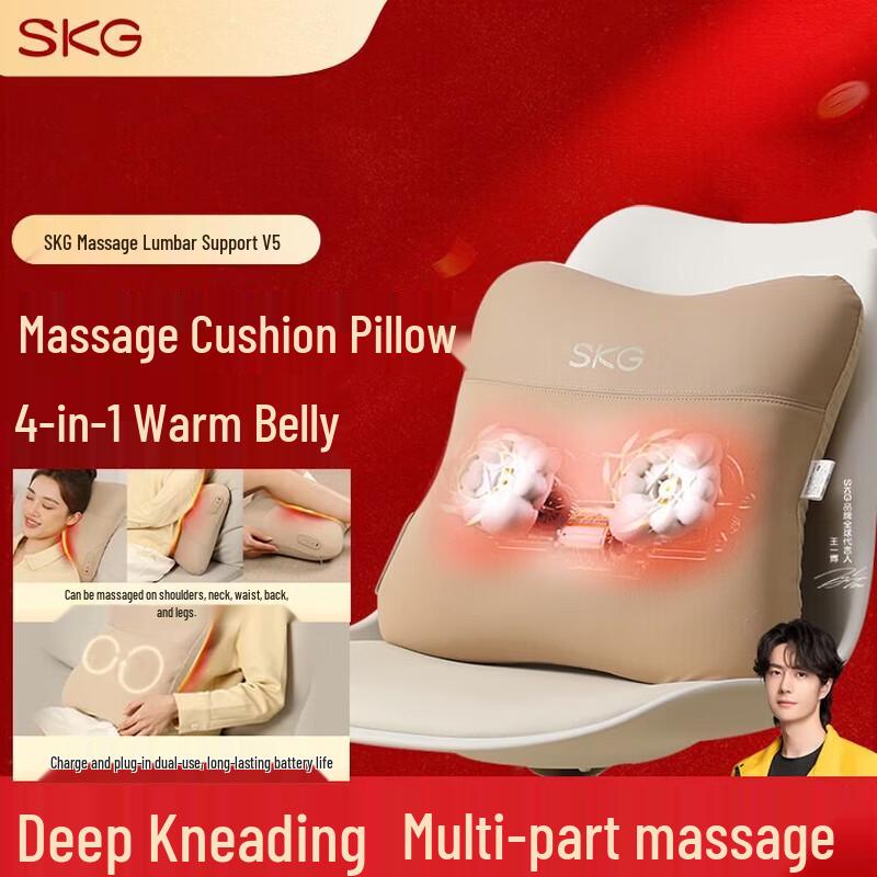 

SKG V5 Portable Waist Massager CN plug (adapter included)
