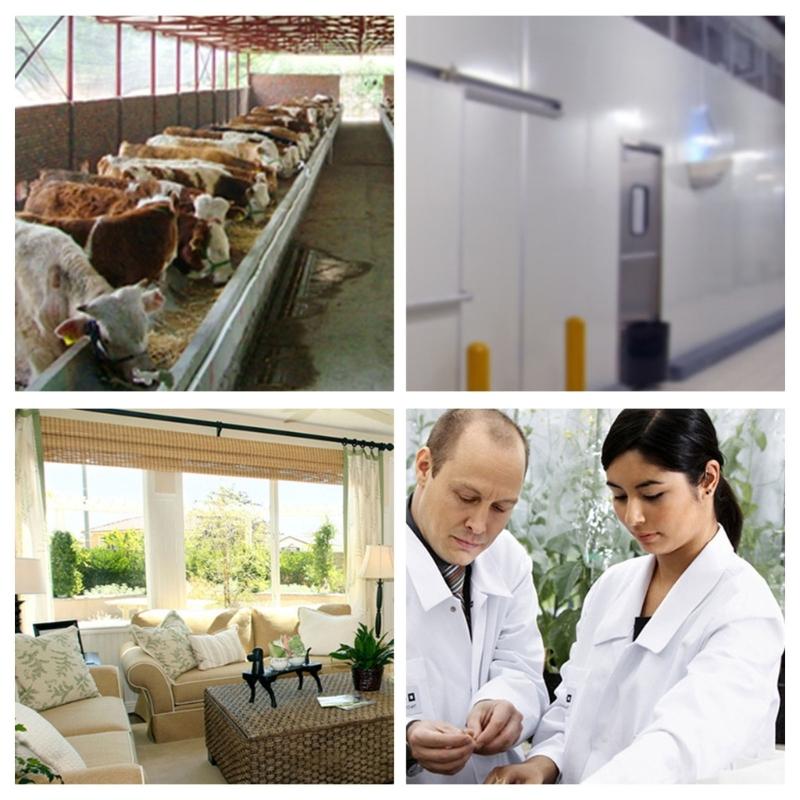 Electronic Temperature Controller Double Screen Display -40℉ To 248℉ Heating Cooling Function Digital Thermostat