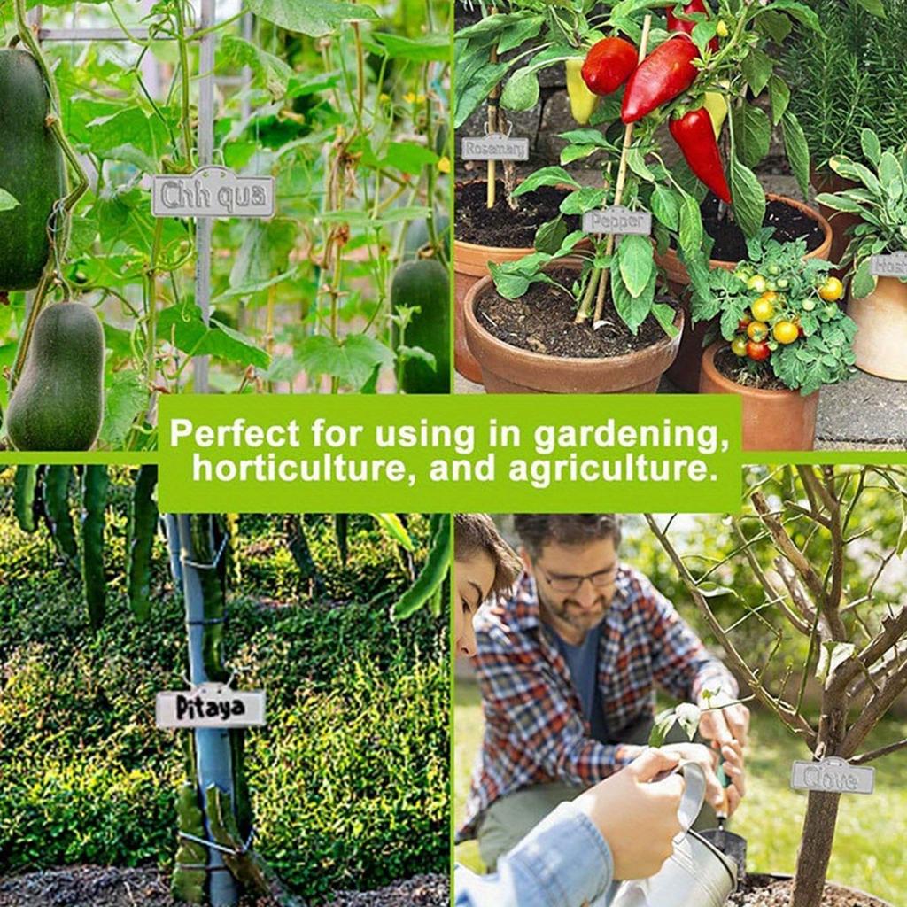 10 ks Zahradní štítek Venkovní štítek na rostliny Zahradní štítek na rostliny Zahradní doplňky
