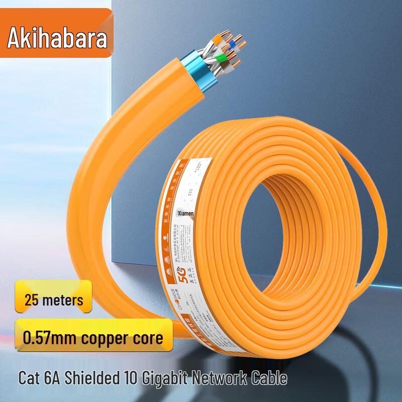 Choseal Cat6A 10 Gigabit Ethernet Cable