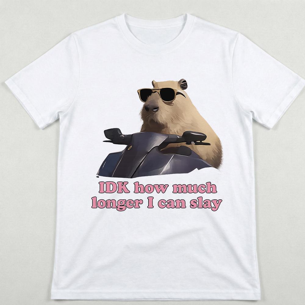 Funny Capybara Meme TShirt IDK How Much Longer I Can Slay Men Women Y2K Streetwear Summer Casual ShortSleeve Wide TShirt