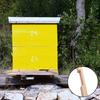 Bees Hives Entrance Reducer Beekeeping Tool Ventilation Control Safety Accessory Wooden Bees Supplies Maintain Warmth 12pcs