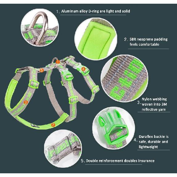 Truelove Double H Harness Neoprene Padding Durable Strong Reflective Gow in the Dark Aluminum Alloy Fitting Light Weight TLH6571