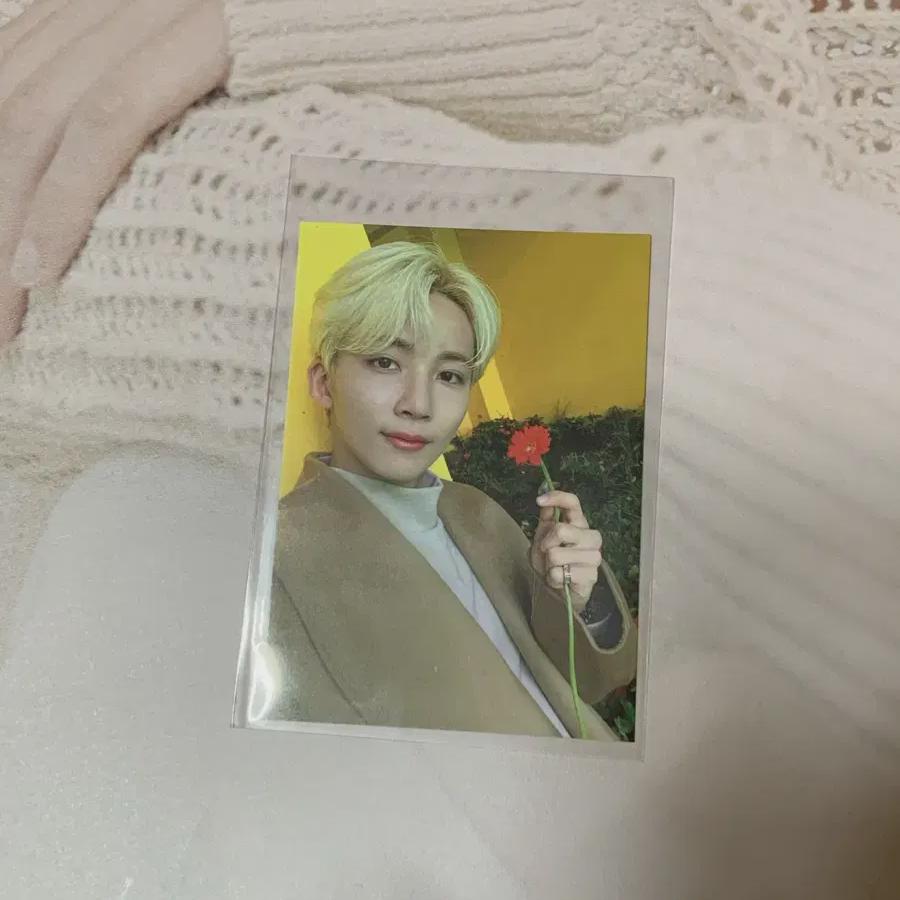 

Ограниченный выпуск) Рождественская коробка Ainochikara Poca Jeonghan от Seventeen