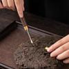 6 Stück/Set Teezeremonie Hitzebeständige Kung Fu Tee Werkzeuge Holz Chinesischer Gongfu Teelöffel Teezange Nadel Set Teestube Zubehör