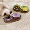 Anti Spill Raised Dog Cat Bowl Non-Slip Pet Food and Water Bowl Cat Feeding Bowl  For Puppy Kitten