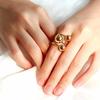 Minimally Adjustable Niche Interstellar Orbit Ring