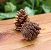 Pinecone Christmas Tree Ornaments Christmas Decorations Holiday Decorations Creative Decorative Items For Christmas Use
