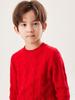 New Year Double-Strand Cable Knit Cashmere Sweater for Boys & Girls, Winter Thick Base Layer.
