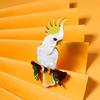 Handmade Acrylic Parrot Brooch & Magnet - Fashionable Animal Hairpin Accessory
