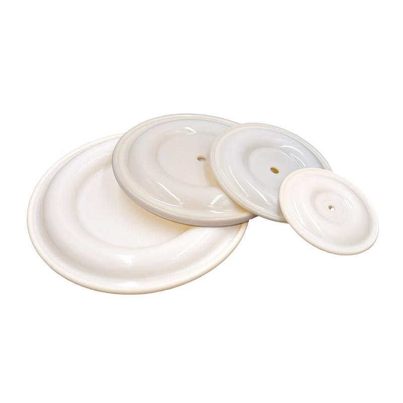 Diaphragm Pump Repair Parts