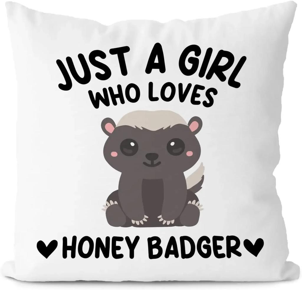 45X45cm Kids Gabbys Dollhouse Gabby Cats Pillowcase