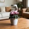Cloud Watering Planter with Hidden Drainage Tray Self Watering Planter with Slow Drip Rain Effect Modern Desktop Flower Pot for Succulents Herbs Home