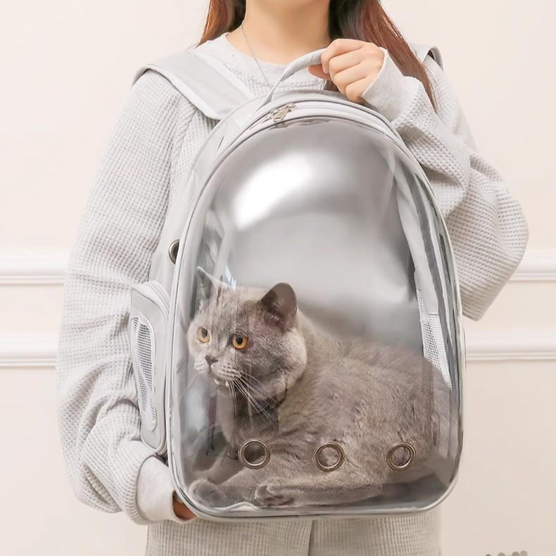 Transparent Space Capsule Pet Backpack for Cats & Small Dogs