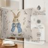 1 Peter Rabbit Easter Pillowcase 2D Double Print Classic Durable Soft Cushion Cover Home Bedroom Living Room Spring Theme Decor