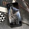 Kitted Cats Cute For Honor Magic 6 Pro Magic 5 Lite 50 70 90 Lite X6 X7 X8 X9 X6a X7a X8a X9a X8b X9b Case